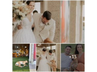 When Love Meets Paws: Stray Dog’s Unplanned Entrance Turns Wedding Into a Memorable Tale
