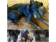 Mantener la esperanza: el viaje de cuatro años de un perro abandonado y su historia