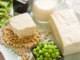 10 Health Boosting Benefits Of Tofu